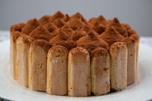 Tiramisu                  